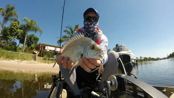 Video: Gold Coast Yak Bream